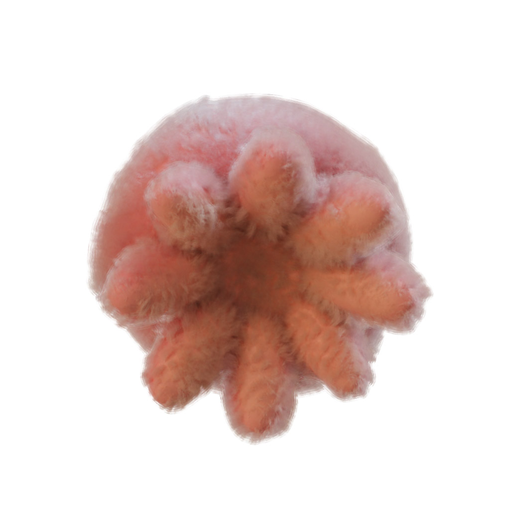 plushy ours